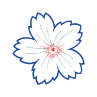 Drawing Animals Drawing Animals