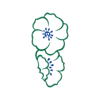 Drawing Animals Drawing Animals