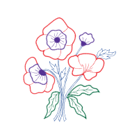 Drawing Animals Drawing Animals