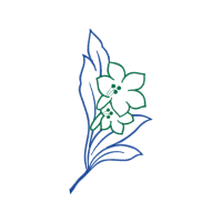 Drawing Animals Drawing Animals