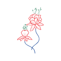 Drawing Animals Drawing Animals