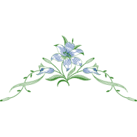 Drawing Animals Drawing Animals