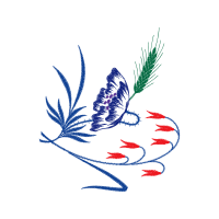 Drawing Animals Drawing Animals