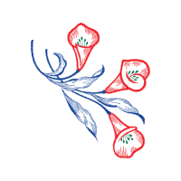 Drawing Animals Drawing Animals