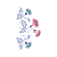 Drawing Animals Drawing Animals