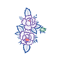 Drawing Animals Drawing Animals