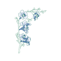 Drawing Animals Drawing Animals