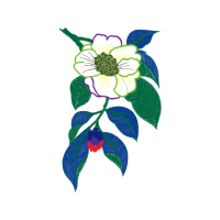 Drawing Animals Drawing Animals