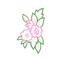 Drawing Animals Drawing Animals