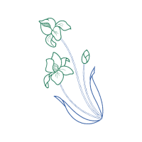 Drawing Animals Drawing Animals