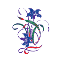 Drawing Animals Drawing Animals