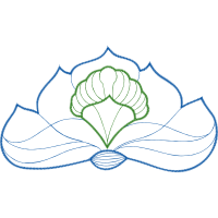 Drawing Animals Drawing Animals