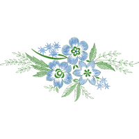 Drawing Animals Drawing Animals