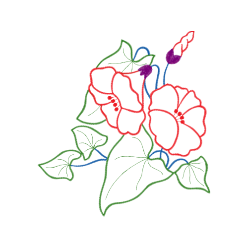 Drawing Animals Drawing Animals