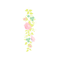 Drawing Animals Drawing Animals