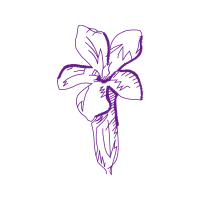 Drawing Animals Drawing Animals