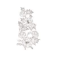 Drawing Animals Drawing Animals