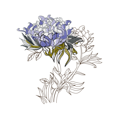 Drawing Animals Drawing Animals