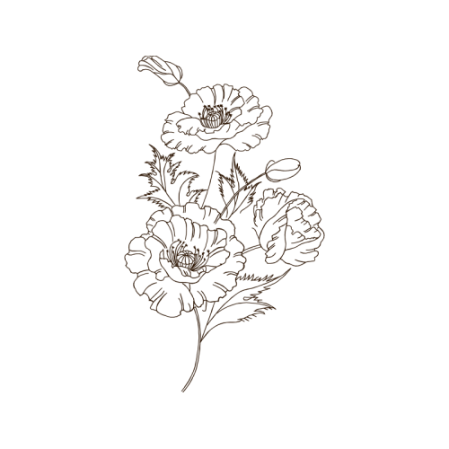 Drawing Animals Drawing Animals