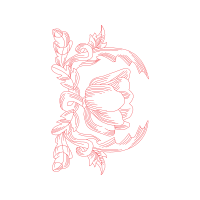 Drawing Animals Drawing Animals