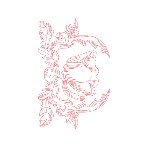 Drawing Animals Drawing Animals