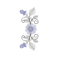 Drawing Animals Drawing Animals