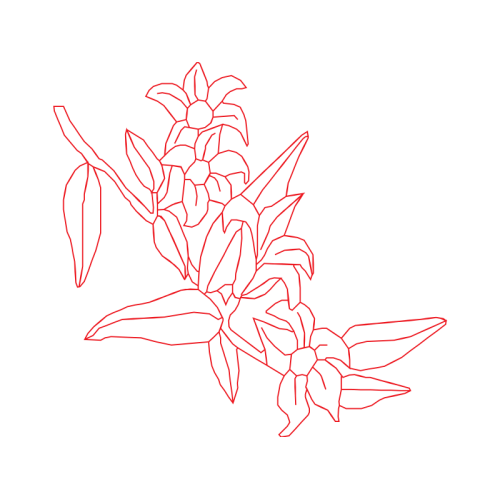 Drawing Animals Drawing Animals