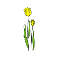 Drawing Animals Drawing Animals