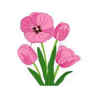 Drawing Animals Drawing Animals