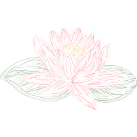 Drawing Animals Drawing Animals