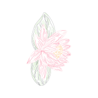 Drawing Animals Drawing Animals