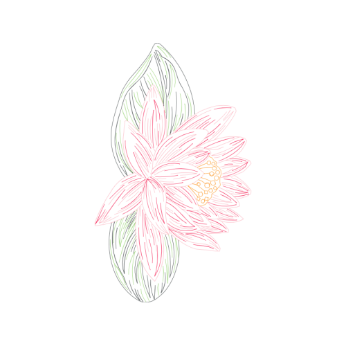 Drawing Animals Drawing Animals