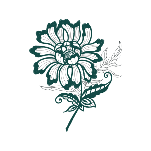 Drawing Animals Drawing Animals