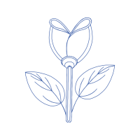 Drawing Animals Drawing Animals