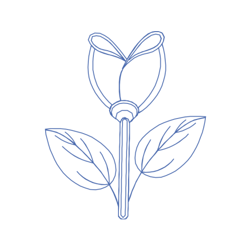 Drawing Animals Drawing Animals