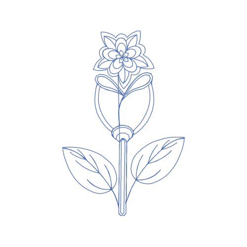 Drawing Animals Drawing Animals