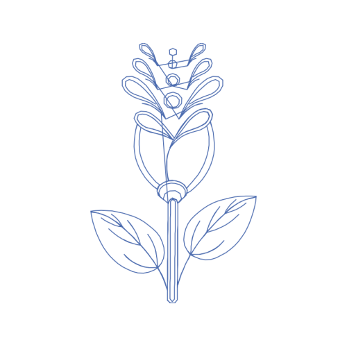 Drawing Animals Drawing Animals