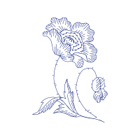 Drawing Animals Drawing Animals