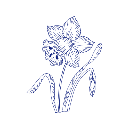 Drawing Animals Drawing Animals