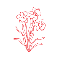 Drawing Animals Drawing Animals