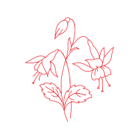 Drawing Animals Drawing Animals