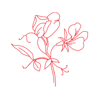 Drawing Animals Drawing Animals