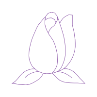 Drawing Animals Drawing Animals