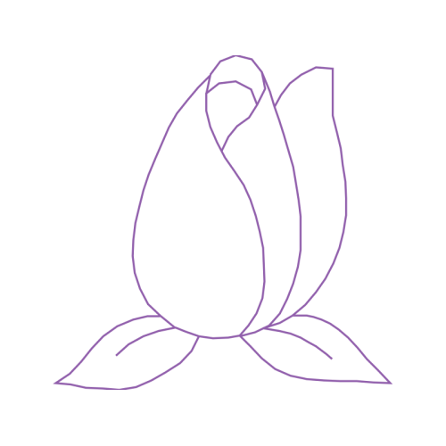 Drawing Animals Drawing Animals