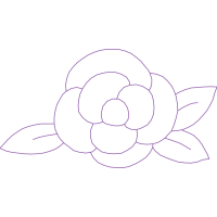 Drawing Animals Drawing Animals