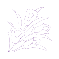 Drawing Animals Drawing Animals