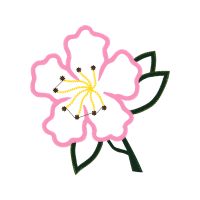 Drawing Animals Drawing Animals