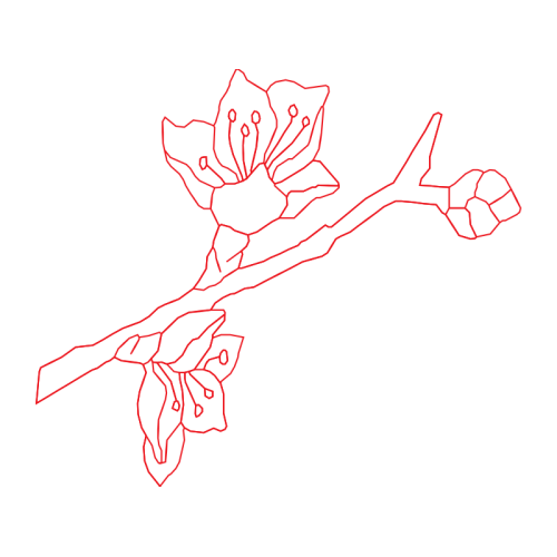 Drawing Animals Drawing Animals