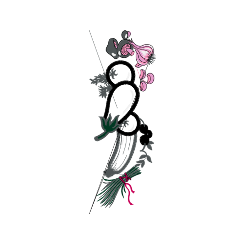 Drawing Animals Drawing Animals