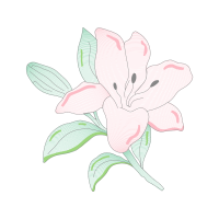 Drawing Animals Drawing Animals